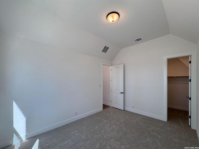 10891 Chestnut Warbler, New Braunfels, TX 78132