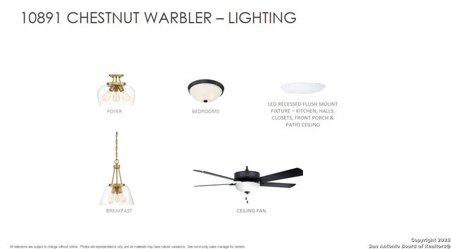 10891 Chestnut Warbler, New Braunfels, TX 78132