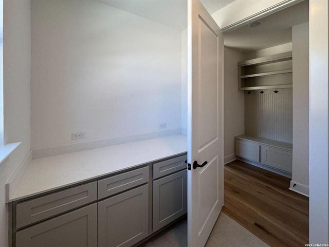 10891 Chestnut Warbler, New Braunfels, TX 78132