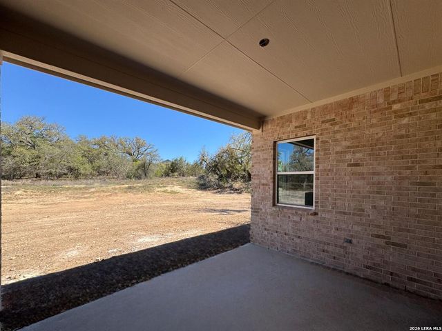 10891 Chestnut Warbler, New Braunfels, TX 78132