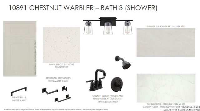 10891 Chestnut Warbler, New Braunfels, TX 78132