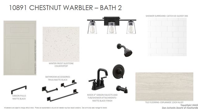 10891 Chestnut Warbler, New Braunfels, TX 78132