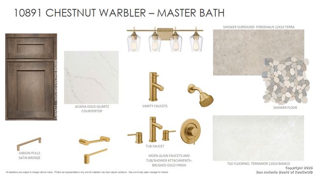 10891 Chestnut Warbler, New Braunfels, TX 78132