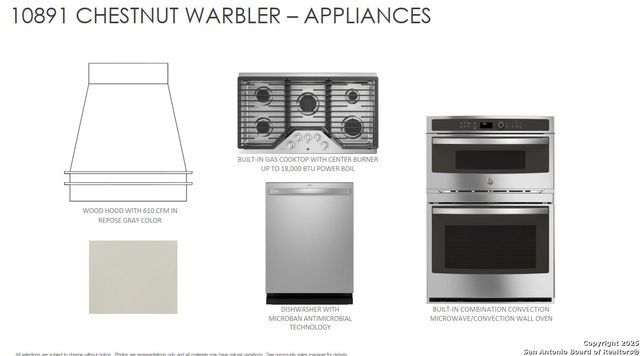 10891 Chestnut Warbler, New Braunfels, TX 78132