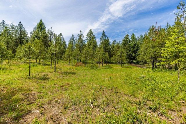 36714 NW Branch Rd, Deer Park, WA 99006