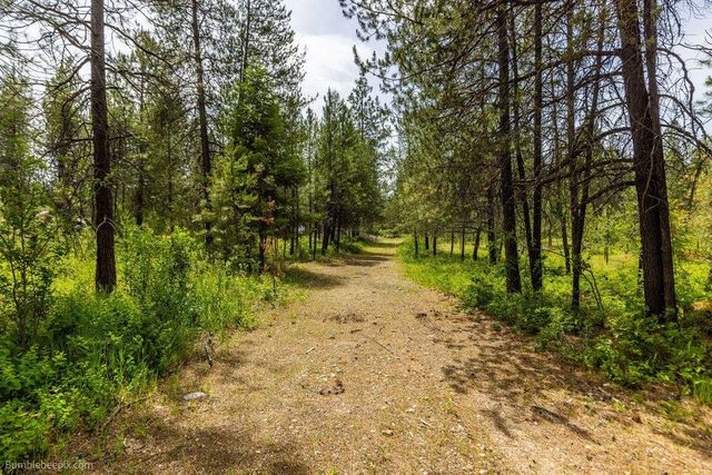 36714 NW Branch Rd, Deer Park, WA 99006
