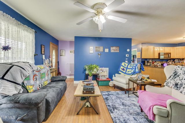 119 Seth Street, Roan Mountain, TN 37687
