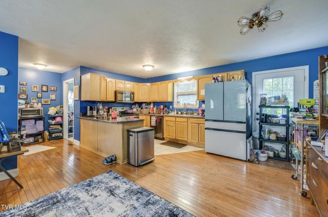 119 Seth Street, Roan Mountain, TN 37687