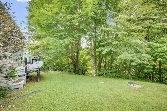 119 Seth Street, Roan Mountain, TN 37687
