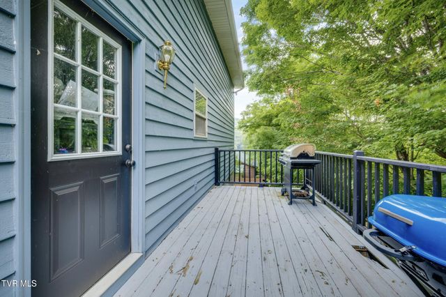 119 Seth Street, Roan Mountain, TN 37687