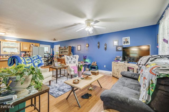 119 Seth Street, Roan Mountain, TN 37687