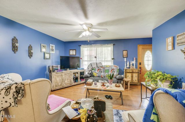 119 Seth Street, Roan Mountain, TN 37687