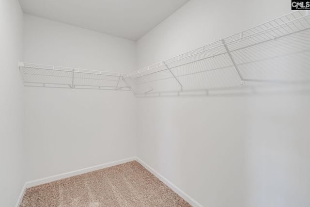 3631 Stedding Place, Lexington, SC 29073