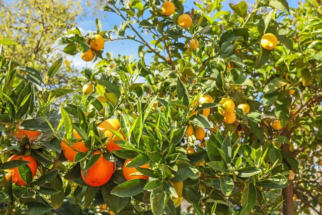 1451 W Willow St, Stockton, CA 95203