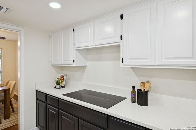 4606 Black Oak Woods, San Antonio, TX 78249