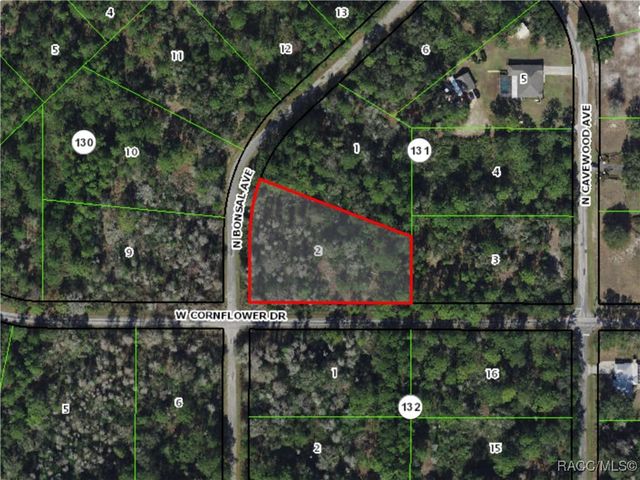 9747 N Bonsai Avenue, Crystal River, FL 34428