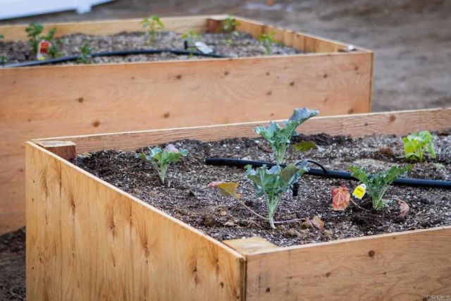 3611 Tierra De Dios, Escondido, CA 92025