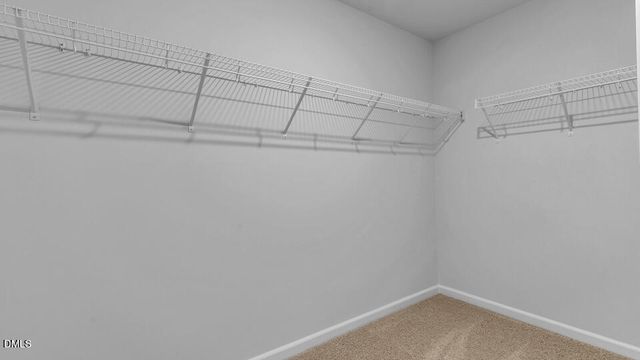 821 Norma Drive, Wendell, NC 27591
