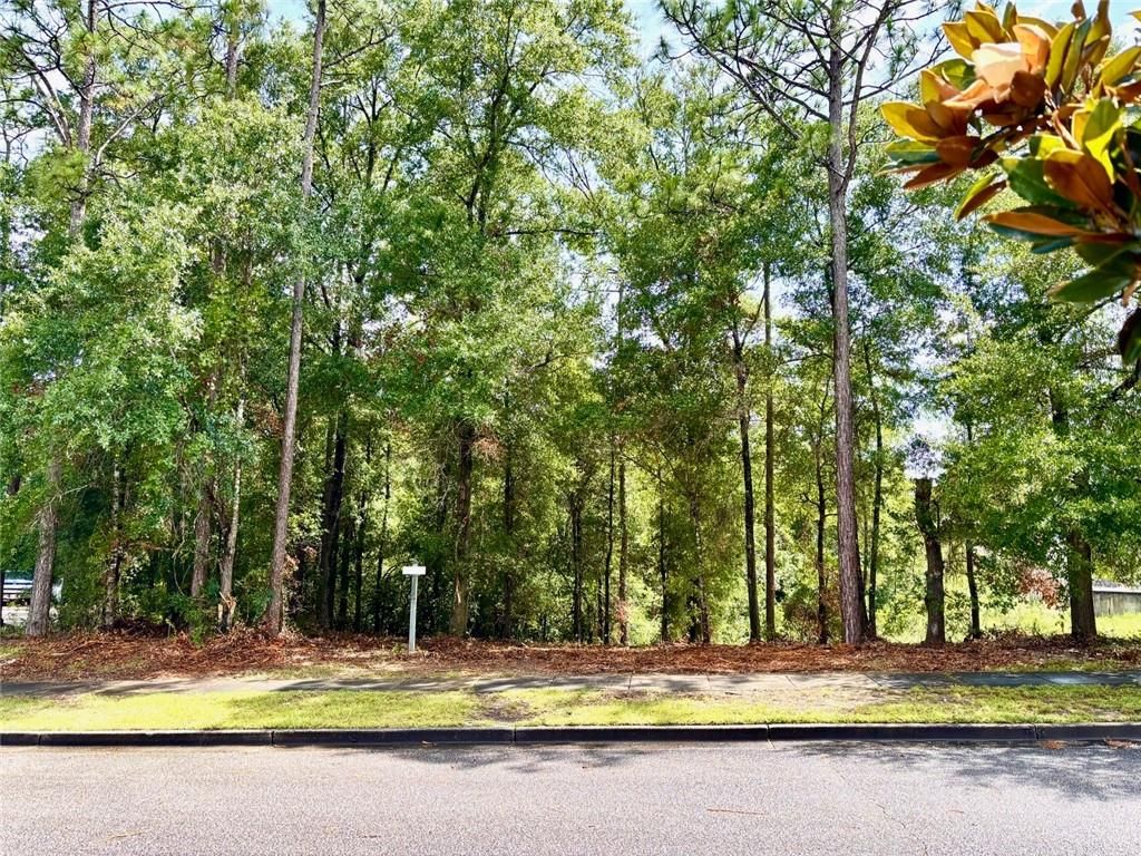 0 Red Maple Drive, Mobile, AL 36618 — photo 3