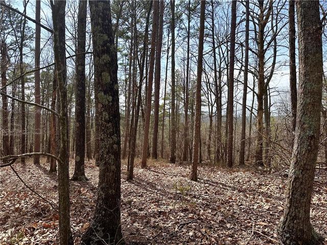 1345 Hunter Drive, Ranger, GA 30734