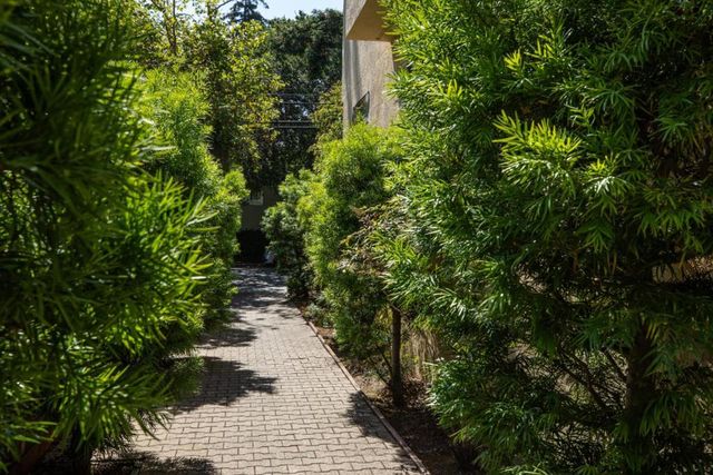 229 E Bellevue Avenue 9, San Mateo, CA 94401