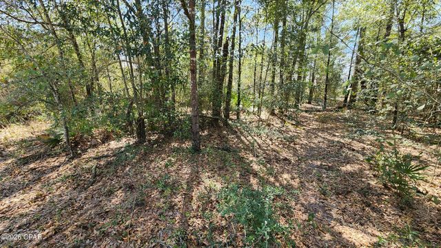 000 Edgewood Road, Fountain, FL 32438