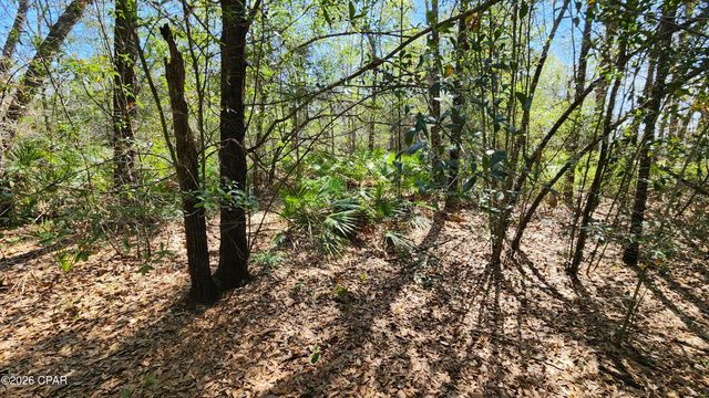 000 Edgewood Road, Fountain, FL 32438