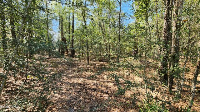 000 Edgewood Road, Fountain, FL 32438