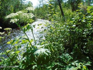Tr G Parks Highway, Talkeetna, AK 99676