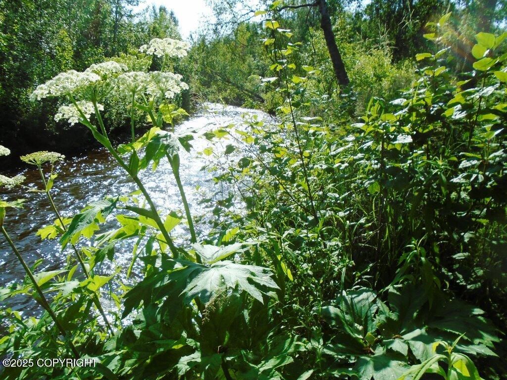 Tr G Parks Highway, Talkeetna, AK 99676