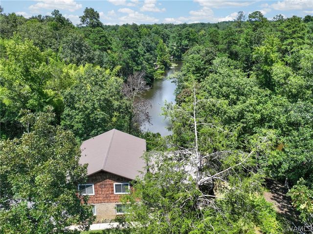 10876 Mallard Lake, Cottondale, AL 35453