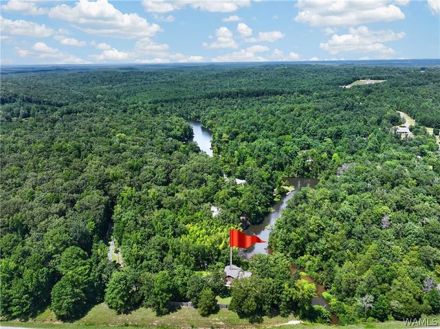 10876 Mallard Lake, Cottondale, AL 35453