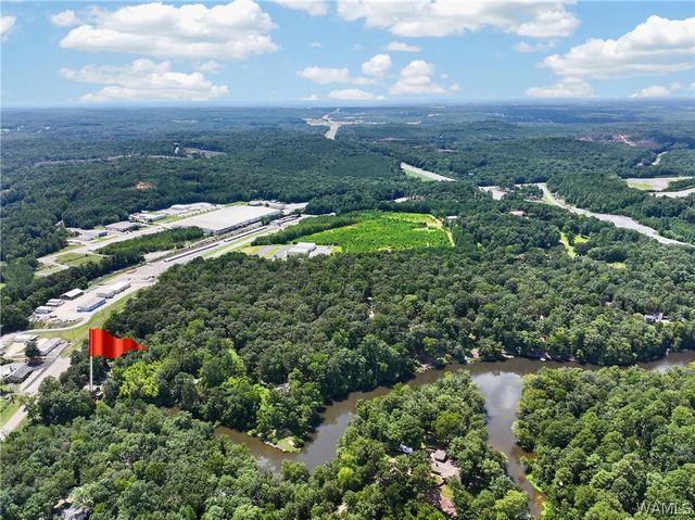 10876 Mallard Lake, Cottondale, AL 35453