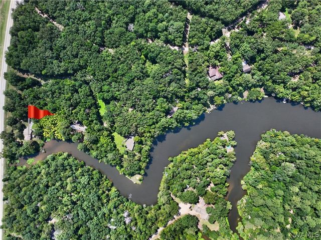 10876 Mallard Lake, Cottondale, AL 35453