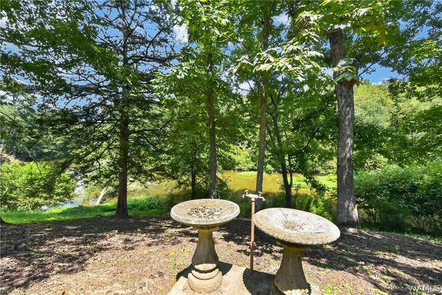 10876 Mallard Lake, Cottondale, AL 35453