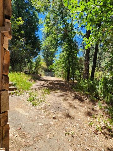 1925 Skull Flat Rd, West Point, CA 95255