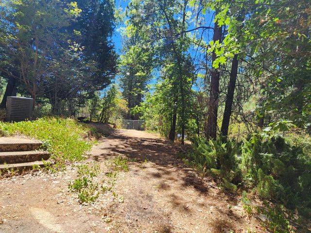 1925 Skull Flat Rd, West Point, CA 95255