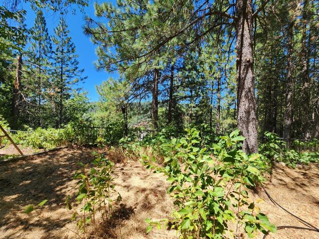 1925 Skull Flat Rd, West Point, CA 95255