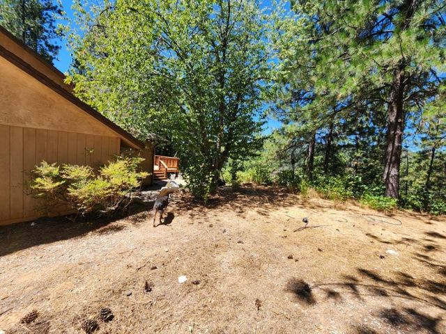 1925 Skull Flat Rd, West Point, CA 95255