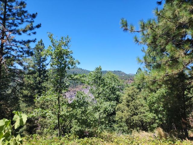 1925 Skull Flat Rd, West Point, CA 95255