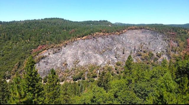 1925 Skull Flat Rd, West Point, CA 95255