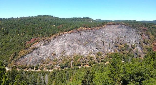 1925 Skull Flat Rd, West Point, CA 95255