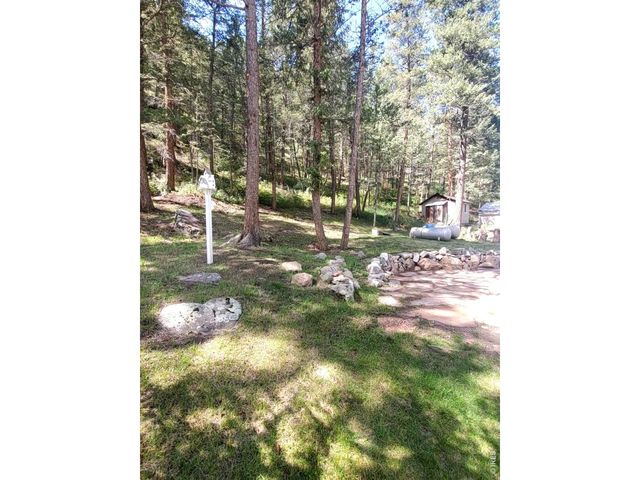 42 Big Pine Ln, Drake, CO 80515