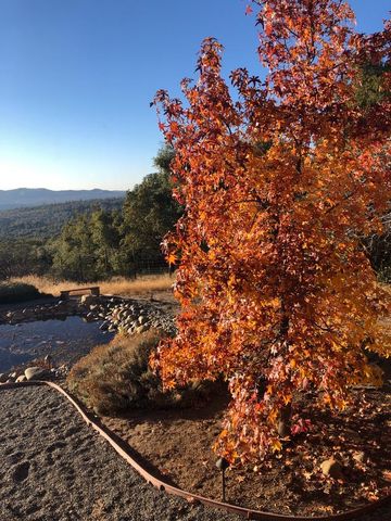 43016 Sunshine Mountain, Oakhurst, CA 93644
