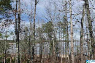LOT # 20 OVERLOOK DRIVE, Wedowee, AL 36278