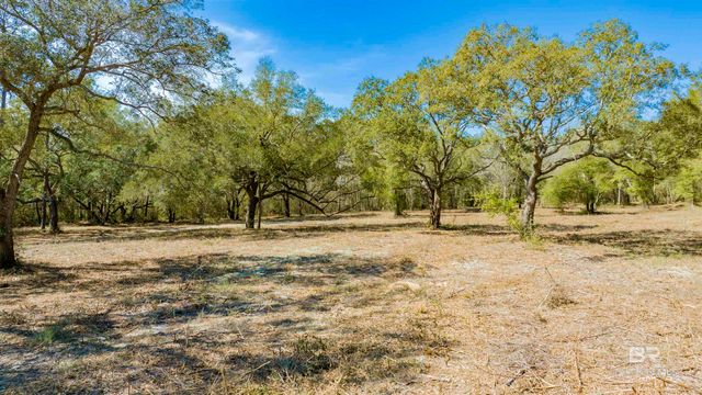 00 County Road 99, Lillian, AL 36549