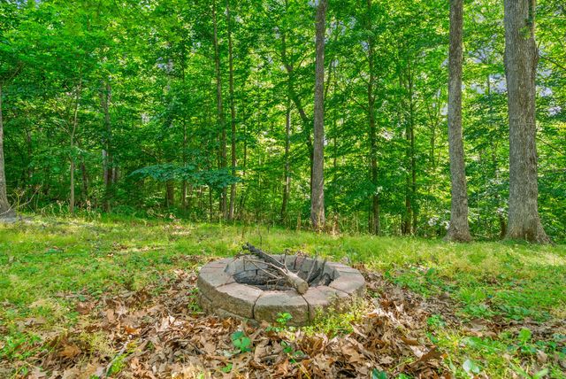 3324 Backridge Rd, Woodlawn, TN 37191