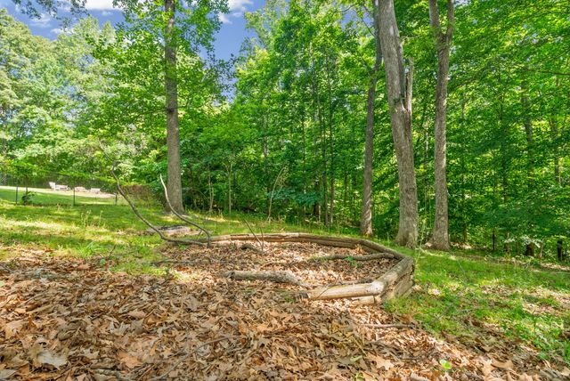 3324 Backridge Rd, Woodlawn, TN 37191