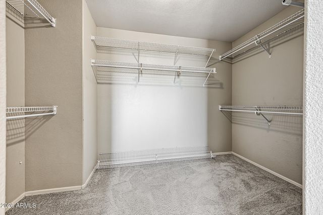 4208 E DESERT SKY Court, Cave Creek, AZ 85331