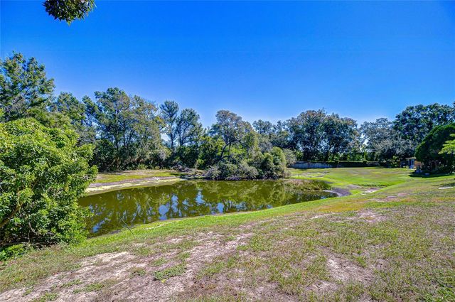 13901 FLETCHERS MILL DRIVE, Tampa, FL 33613